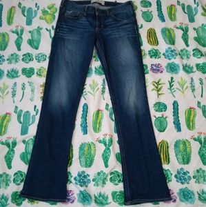 Hollister Low Rise Boot Jean